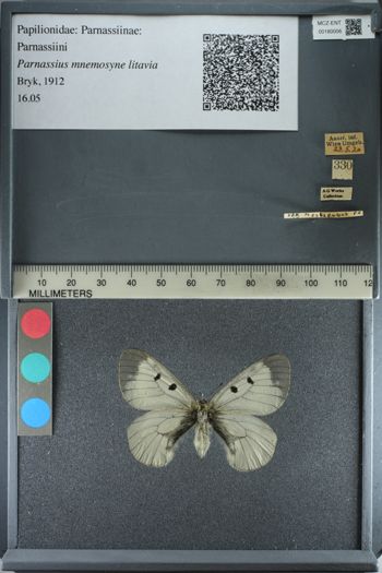 Media type: image;   Entomology 180006
